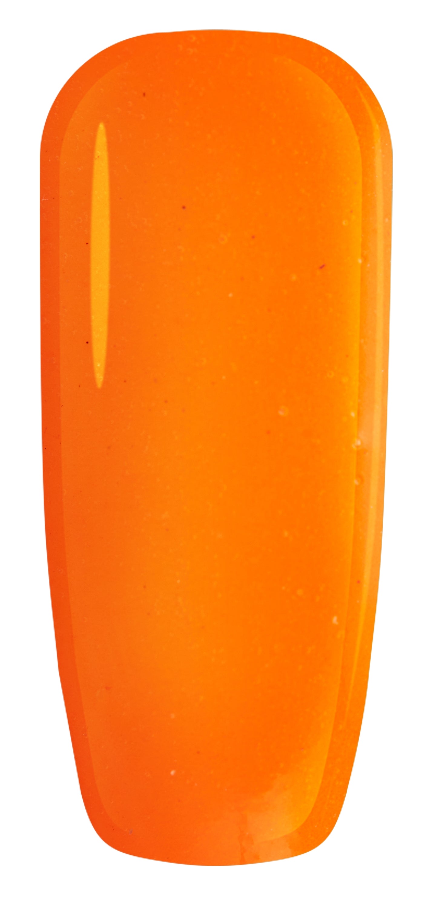 N5 - 2 OZ