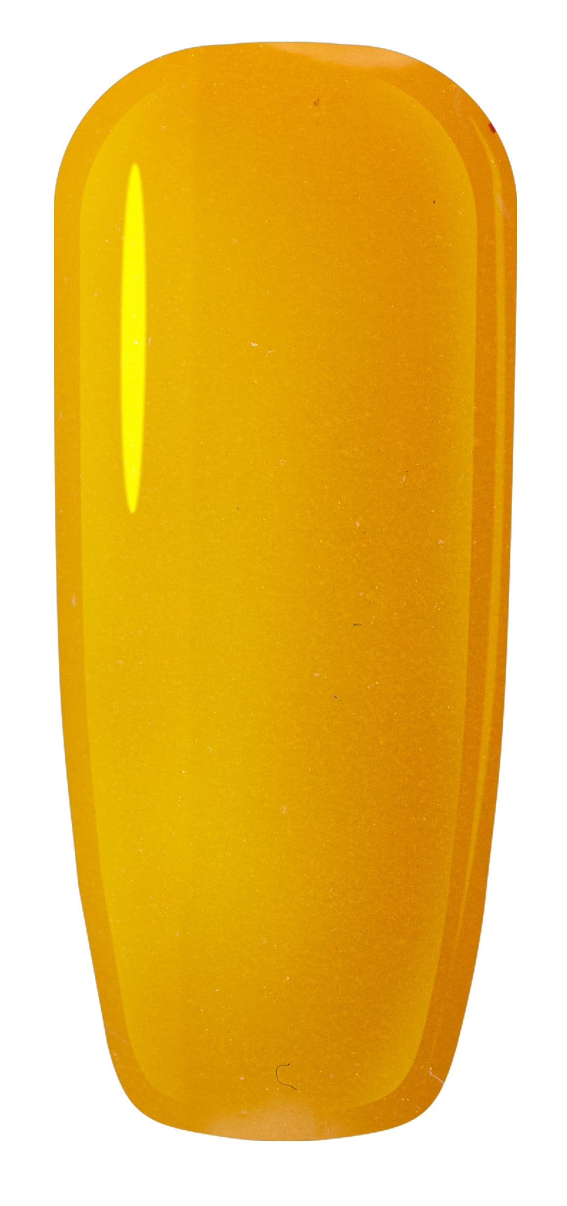 X31 - 2 OZ